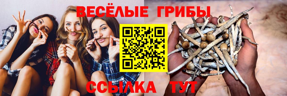 Псилоцибиновые грибы мухоморы Новозыбков