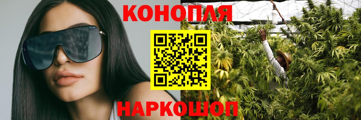 Каннабис план Новозыбков
